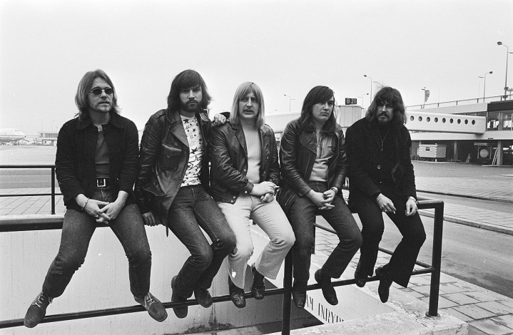 The Cats