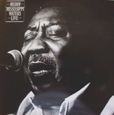 Hoes van Muddy "Mississippi" Waters Live