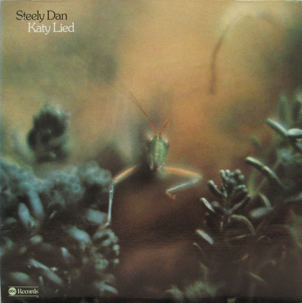 Hoes van Katy Lied